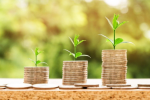 Le plan de résilience face à la crise